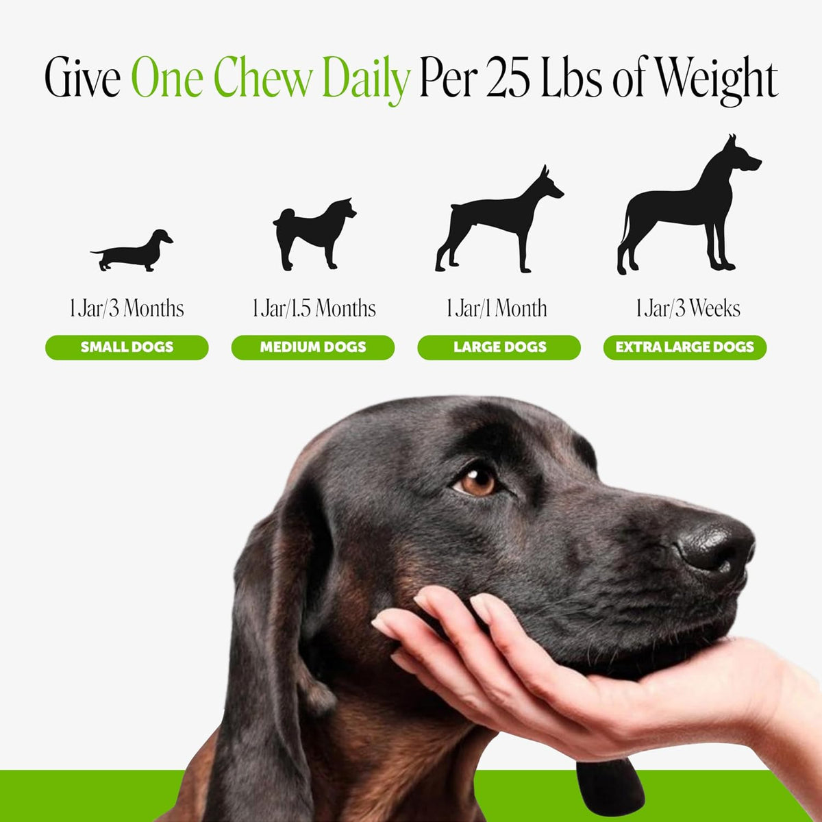 Natural dog allergy and digestive health soft chews with pumpkin and enzymes.