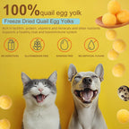 Freeze-dried quail egg yolk crumbled as a nutritious food topper over cat kibble.