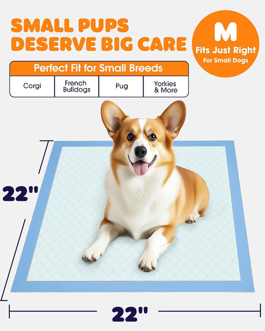 Powools pet training sheets showing six layer absorption material