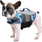Queenmore imported dog swimming gear for pool and open water