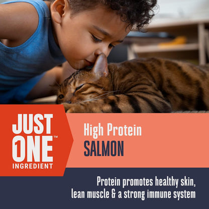 Whole Life Pet salmon treats label showing human grade ingredients