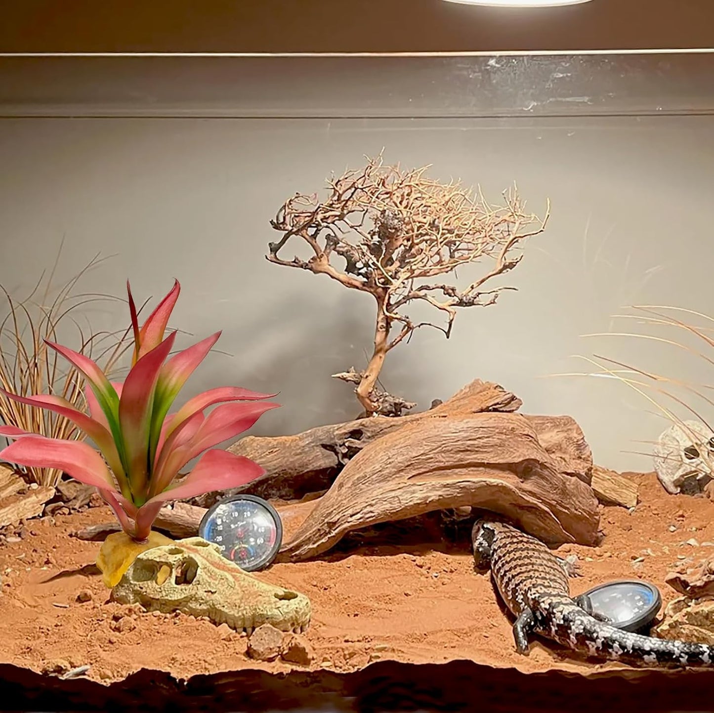Woyrise Reptile Plants Succulent, Artificial Desert Plant for Terrarium Decor, Bearded Dragon Tank Accessories fit Gecko Lizard Chameleon Ball Python Snake - Guzmania lingulata - Image 3