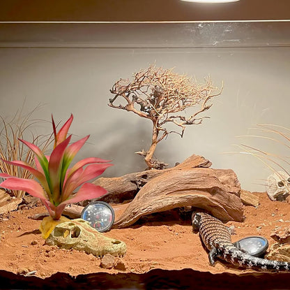 Woyrise Reptile Plants Succulent, Artificial Desert Plant for Terrarium Decor, Bearded Dragon Tank Accessories fit Gecko Lizard Chameleon Ball Python Snake - Guzmania lingulata - Image 3