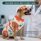 Kuoser pet recovery apparel packaging and product details