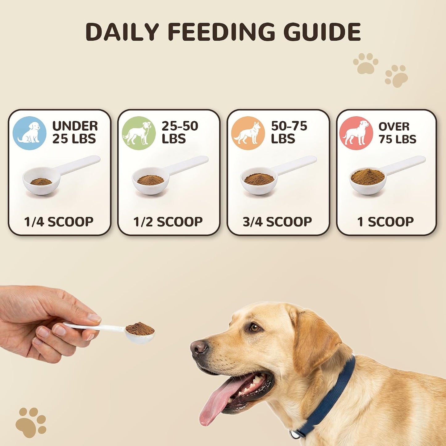 Premium organic mushroom powder for cat and dog immune regulation benefits