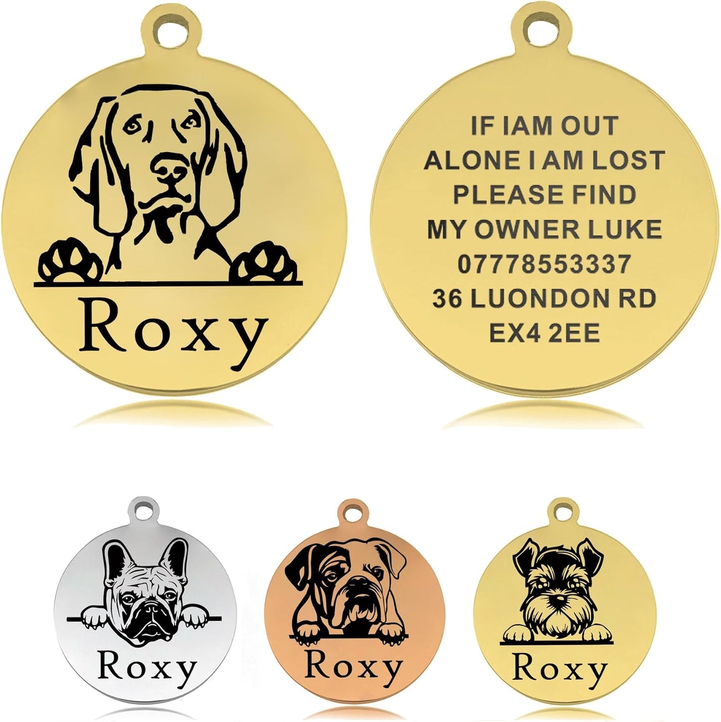 Rust-resistant stainless steel pet ID tag highlighting clear legible typography.