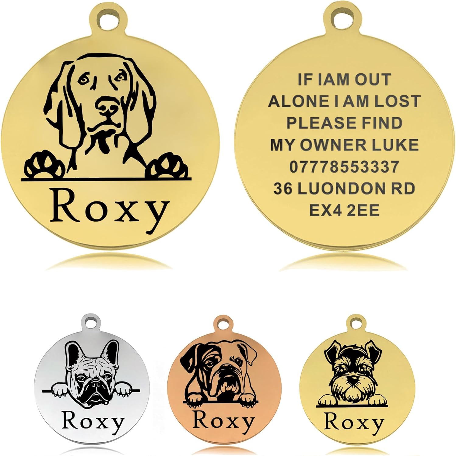 Rust-resistant stainless steel pet ID tag highlighting clear legible typography.