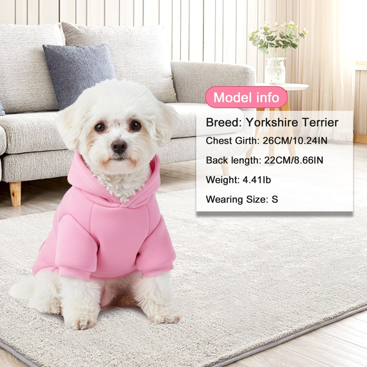 Small Chihuahua wearing a lavender BAOBICUTE pet hoodie with hood up