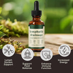 Lymphatic Drainage Drops, Bloat Relief & De-Puff, Immune & Lymph System Support Supplement, - Cleavers, Red Clover, Stillingia Root & Prickly Ash Bark, Fluid Retention, Vegan & Alcohol-Free, 2 Fl Oz - Image 3