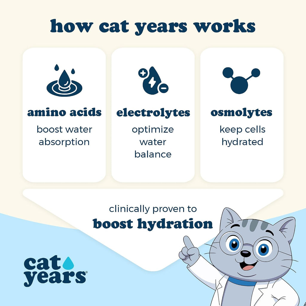 Cat Years lickable treat served in a ceramic bowl