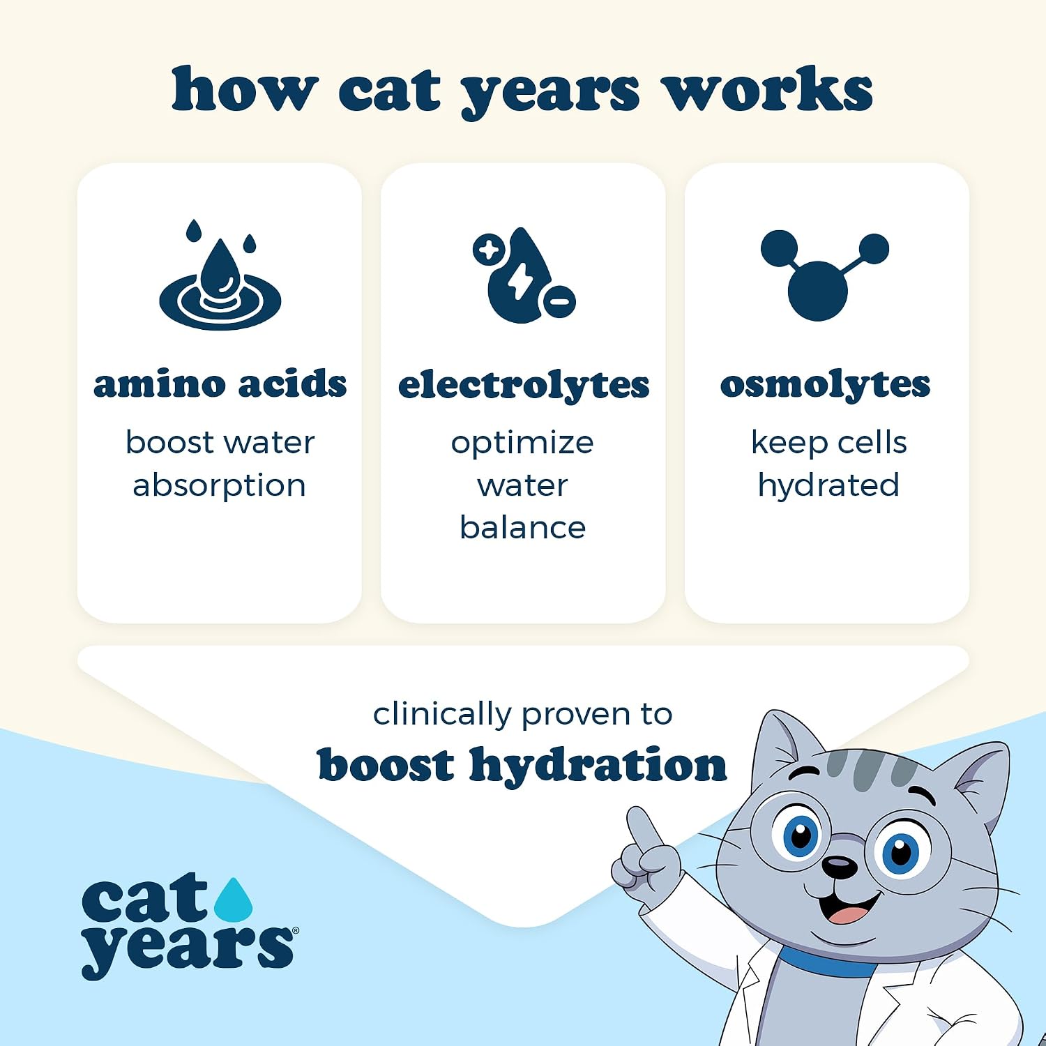 Authentic USA imported cat treats for urinary health