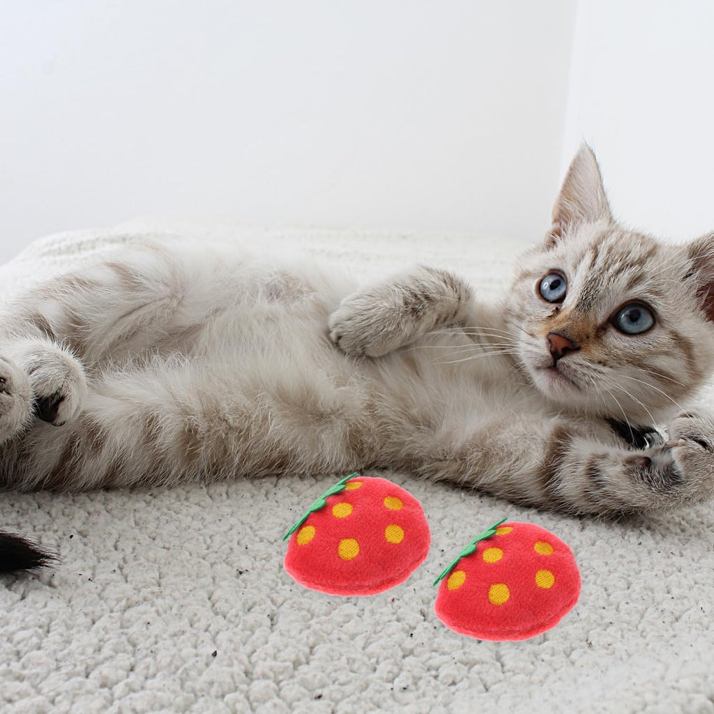 Toddmomy durable plush kitten toys designed to prevent household furniture damage.