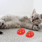 Toddmomy durable plush kitten toys designed to prevent household furniture damage.