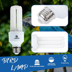 UVA UVB Light Bulb for Birds 2.4 UVB 20W Compact Flourescent Lamp for All Kinds Captive Birds - Image 6