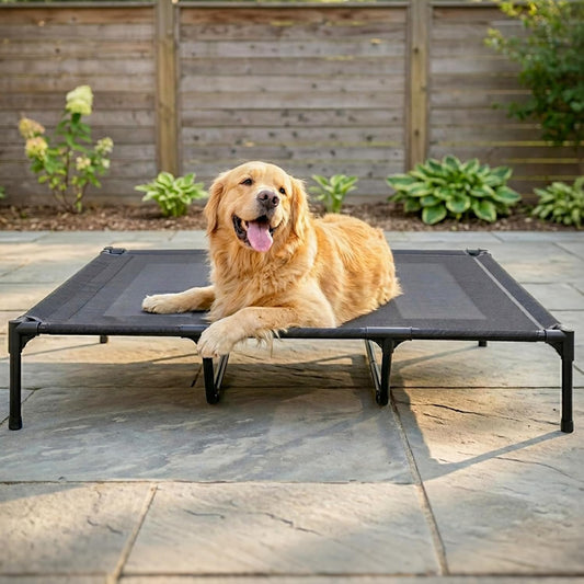 suddus Elevated Dog Bed for Large Dogs 120lb, Breathable Cooling Raised Dog Cot with Dual Support Bars & Metal Frame, No-Slip Feet, Waterproof Pet Bed for Indoor/Outdoor, X-Large, 48 * 36 * 9in, Grey - Image 1