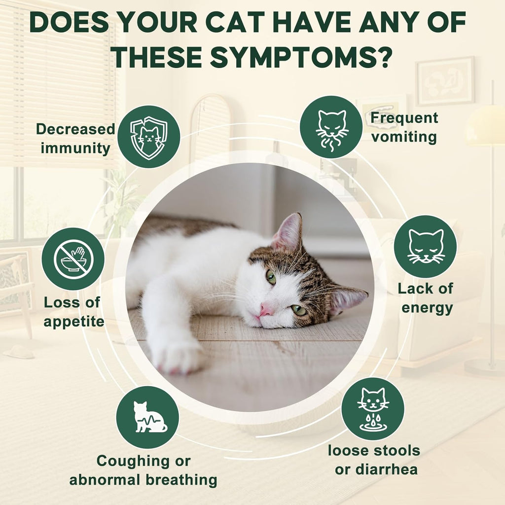 Yakucho digestive support formula for kittens showing graduated syringe