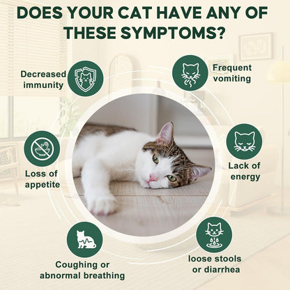 Yakucho digestive support formula for kittens showing graduated syringe