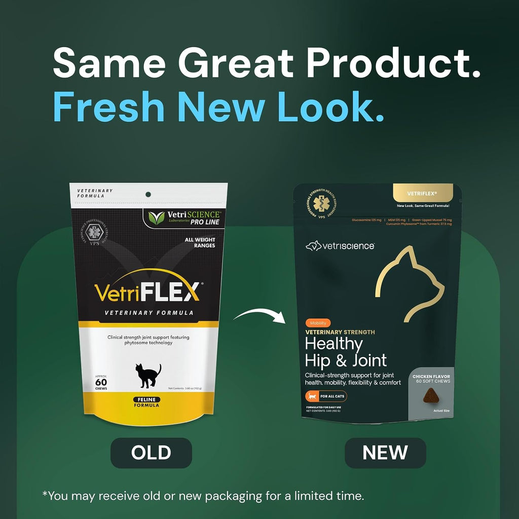 Close up of VetriScience cat joint supplement chew texture