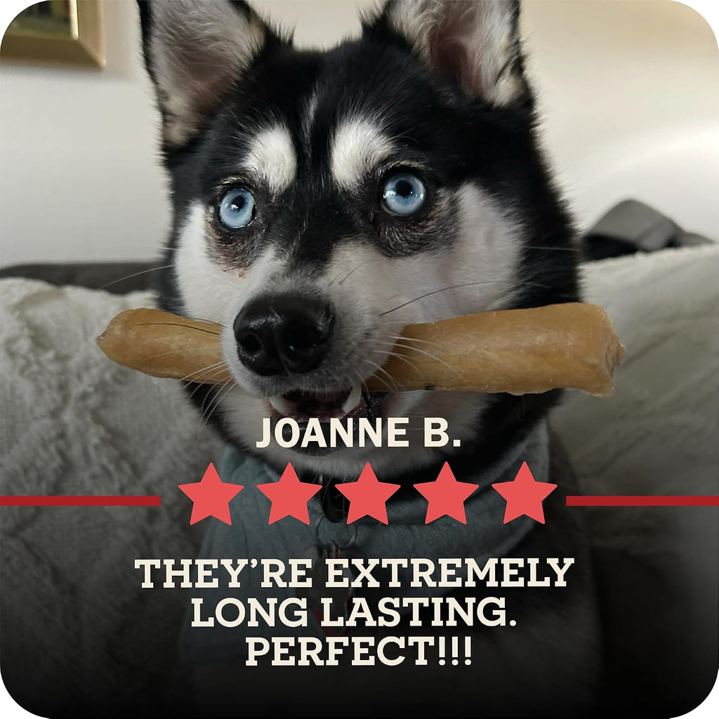 Redbarn Pet Products All-Natural Large 12" Beef Collagen Sticks for Dogs - Long Lasting Low-Odor Alternative to Traditional Rawhide & Bully Sticks - Supports Healthy Joints, Skin, & Coat - 3 Pack - Image 11