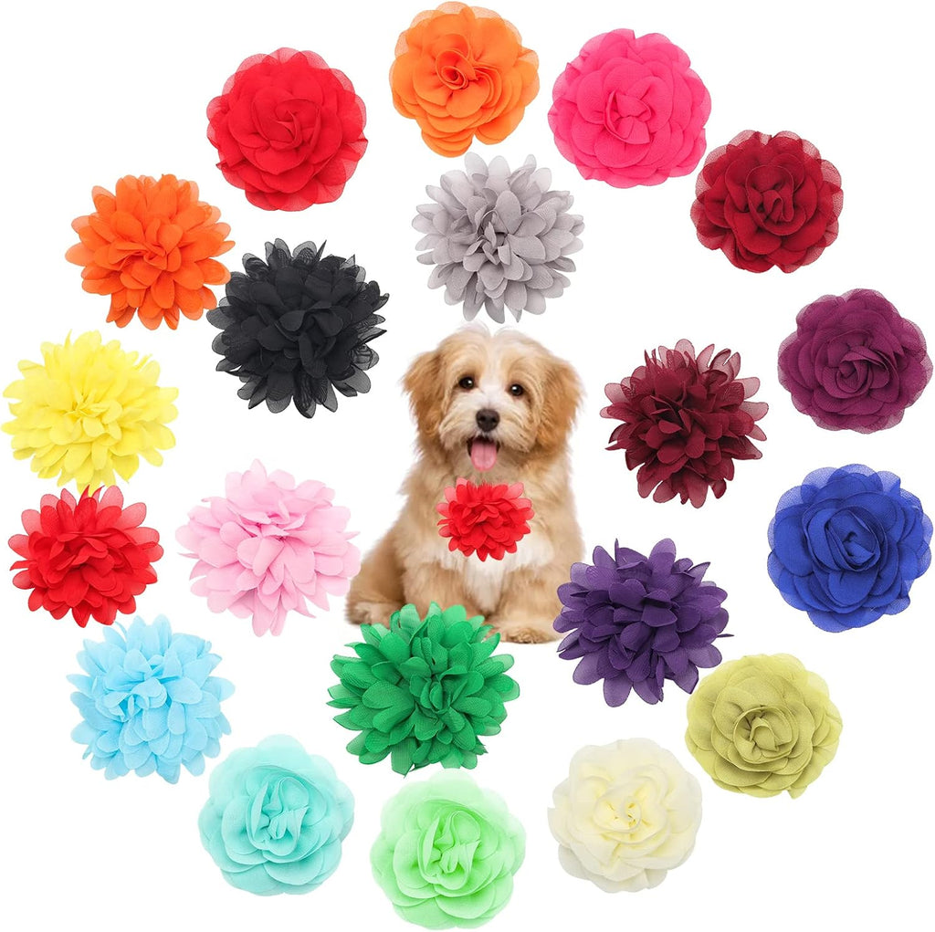 Catcan dog flower collar accessory front view of twenty multi-color pieces