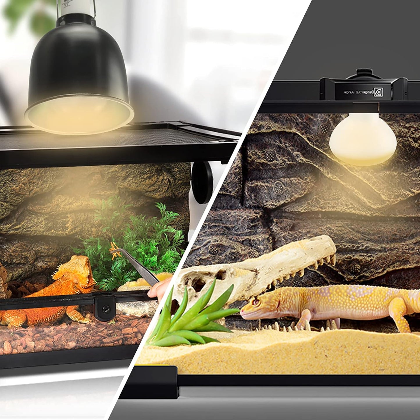 Four pack arrangement of the Lucky Herp incandescent basking lights for desert and tropical reptiles.