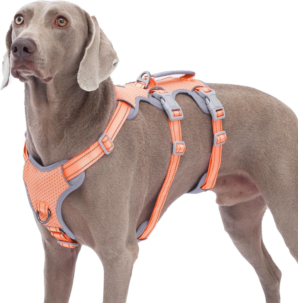 Huntboo Escape Proof Harness, No Slip Dog Harness Escape Proof, Fully Reflective Harness with Handle, Breathable, Durable, Adjustable Vest for Medium Dogs Walking and Training Gear (Black, M) - Image 15