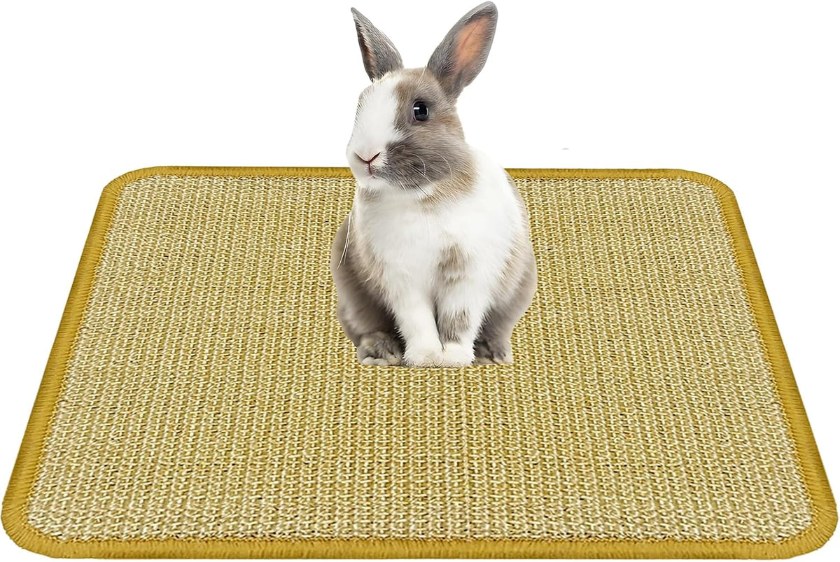 Dimensions view of the 16 by 12 inch DYAUS rabbit scratching pad