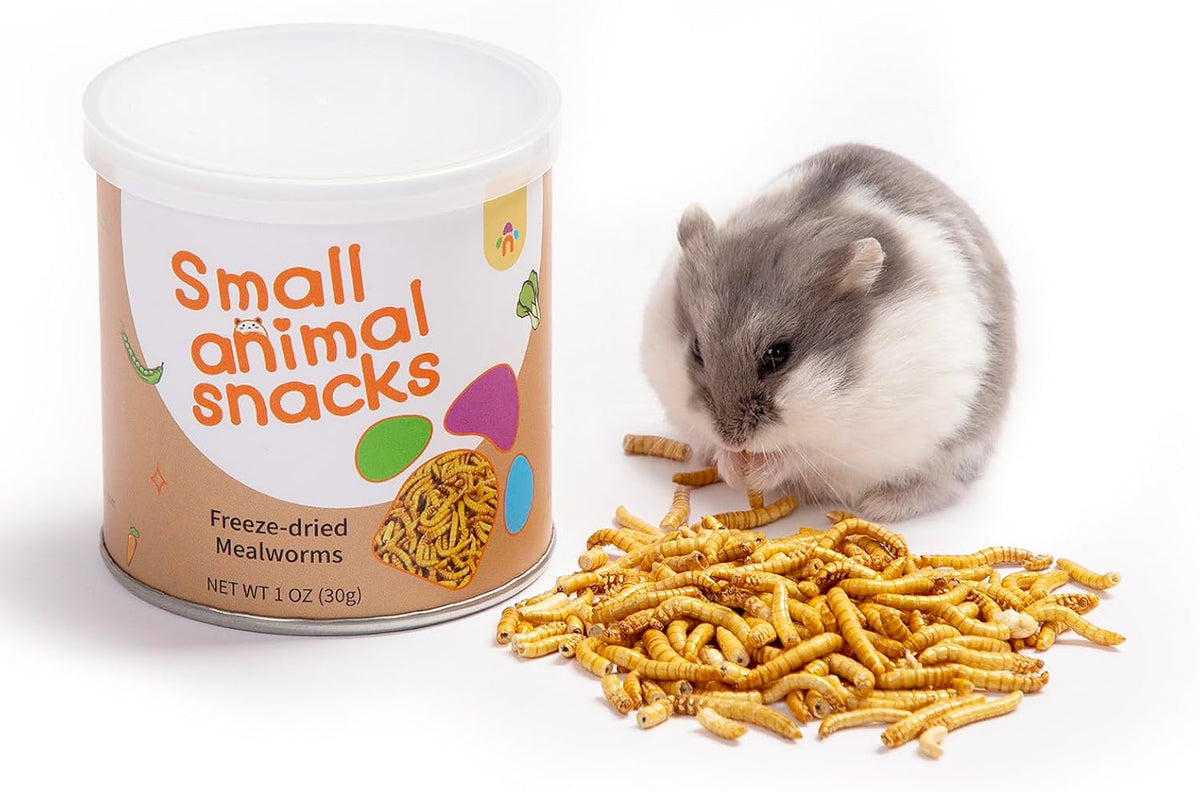 Small animal treat canister by Niteangel side profile