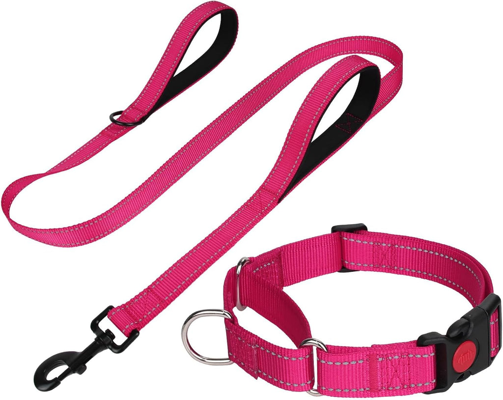 FunTags Reflective Hotpink Martingale Collar and Leash Set front view