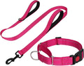 FunTags Reflective Hotpink Martingale Collar and Leash Set front view