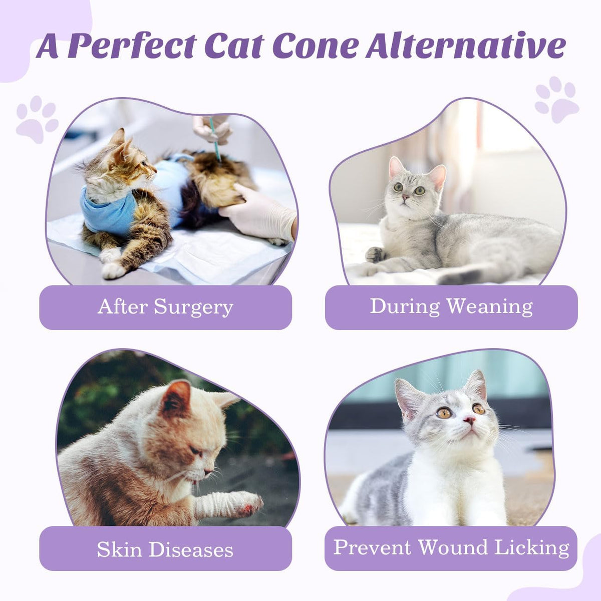 VavoPaw recovery suit tail opening design for clean litter box use.
