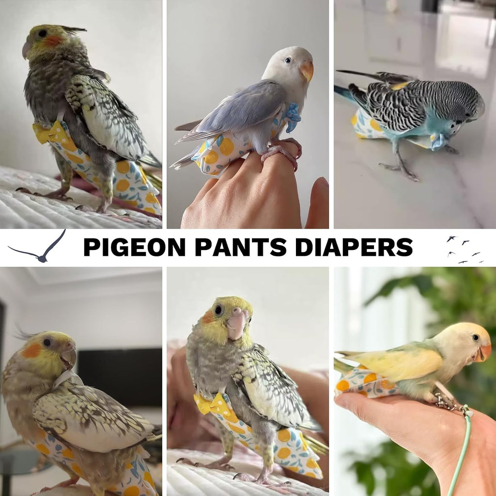 Demonstration of inserting tissue pad into the 3D poop pocket