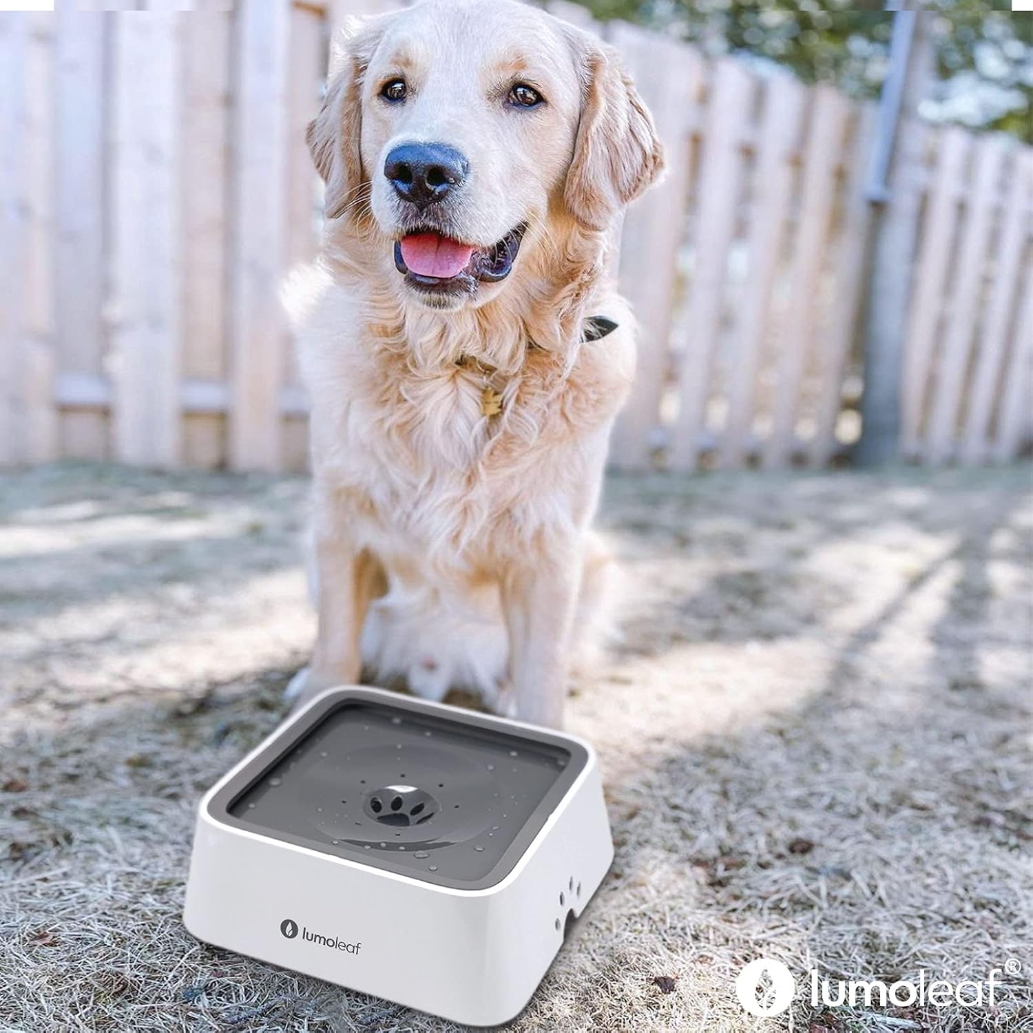 Non slip seventy fluid ounce dog bowl for messy drinkers