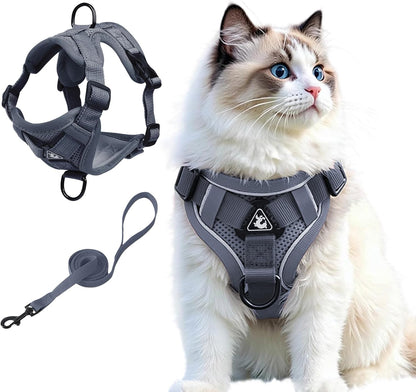 Skmeditec Cat Harness and Leash Set: Upgraded Escape Proof Vest with Lead for Large Cat Small Dog Puppy Walking, Soft Jacket with Reflective Strips L2 Size Blue - Image 10