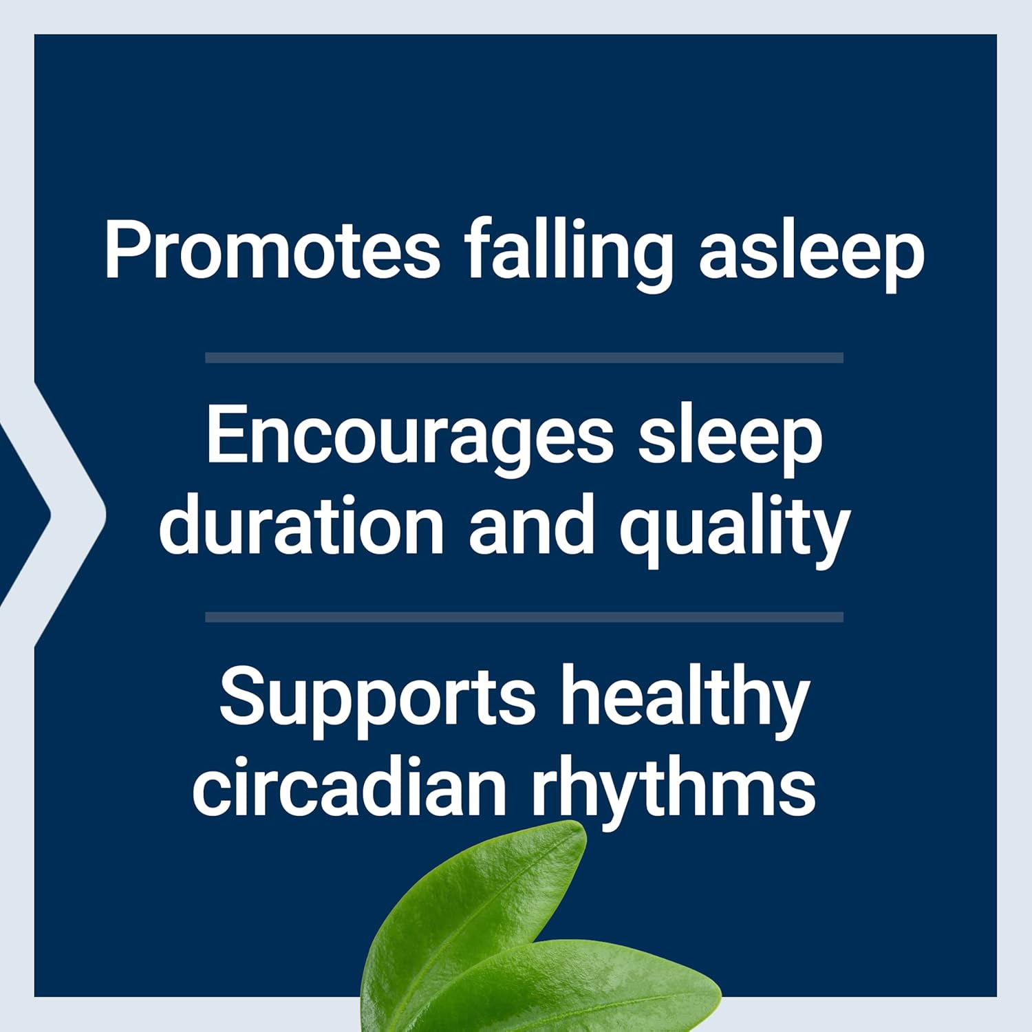 Life Extension 6 hour timed release sleep support pills packaging back details