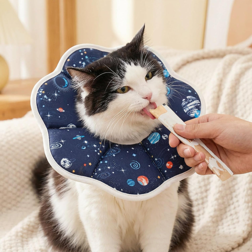 Soft cat neck collar for grooming and nail trimming showing the strong adhesive strip.