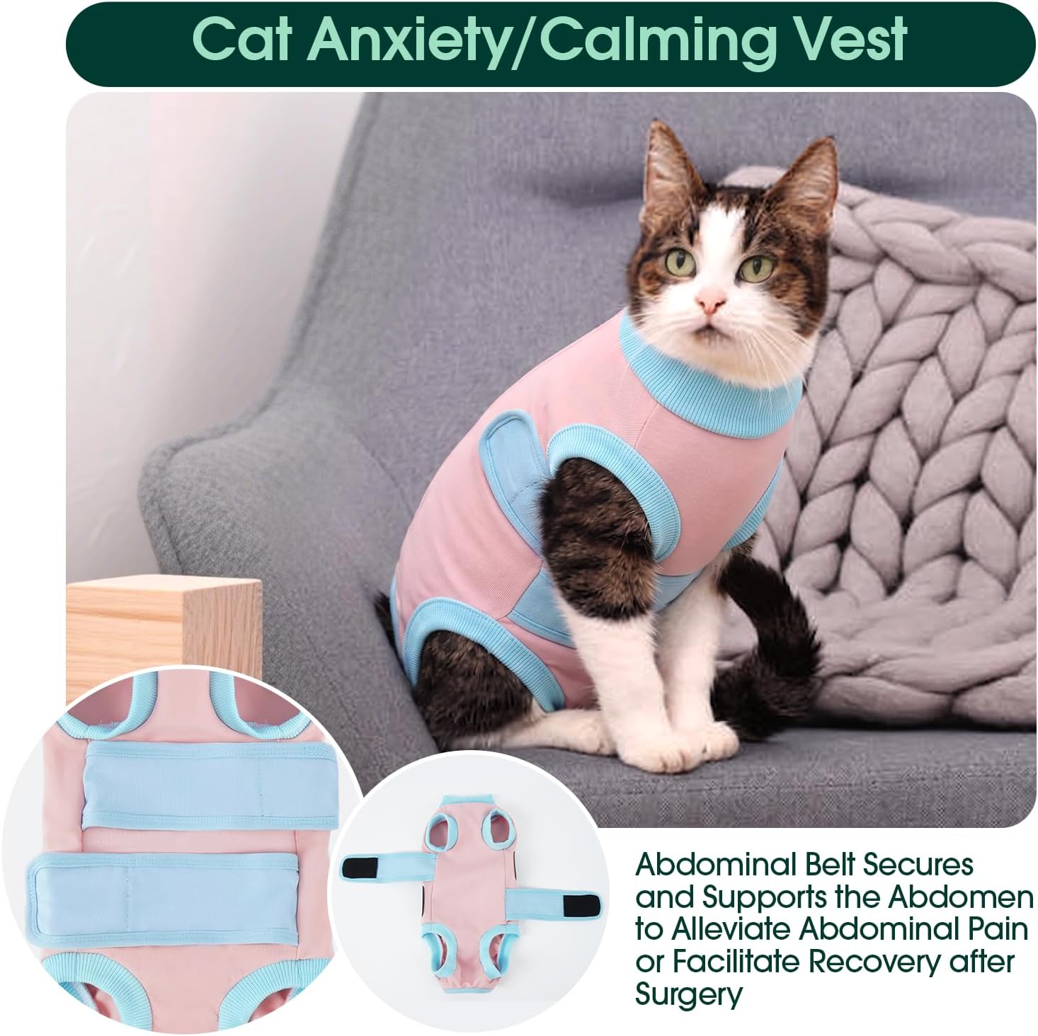 Cat resting comfortably in pink Kuoser recovery garment