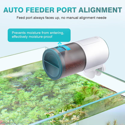 AQQA automatic fish feeder dispensing pellet food into a goldfish and betta tank setup