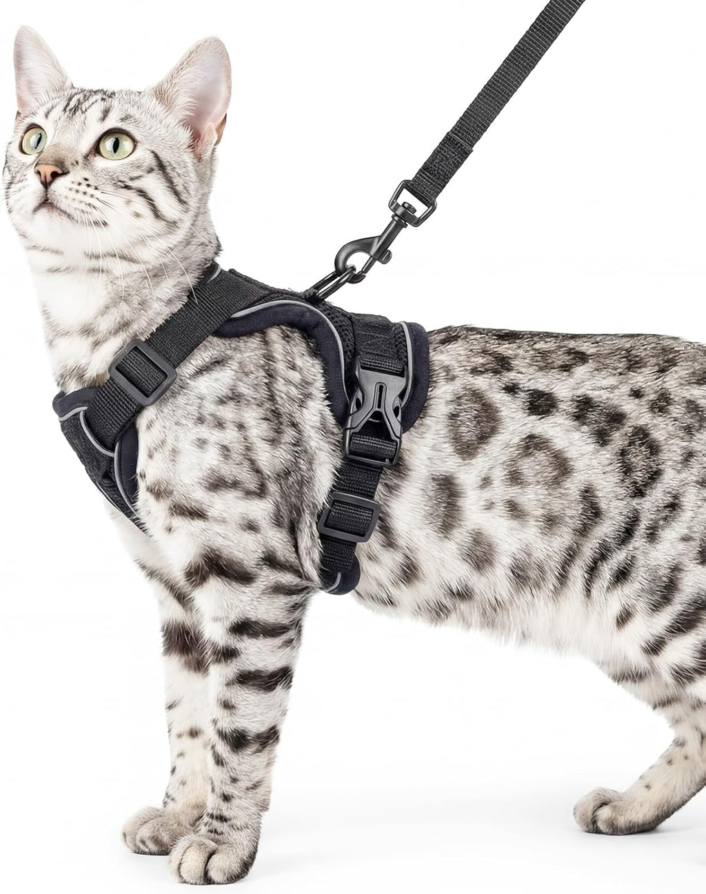 Cat Harness and Leash Set Escape Proof Tactical Extra Large Kitten Harness Emotional Support Cat Vest, Grey, XL - Image 11