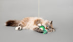 Premium non toxic cat teaser toy fitting perfectly inside a standard pet toy basket