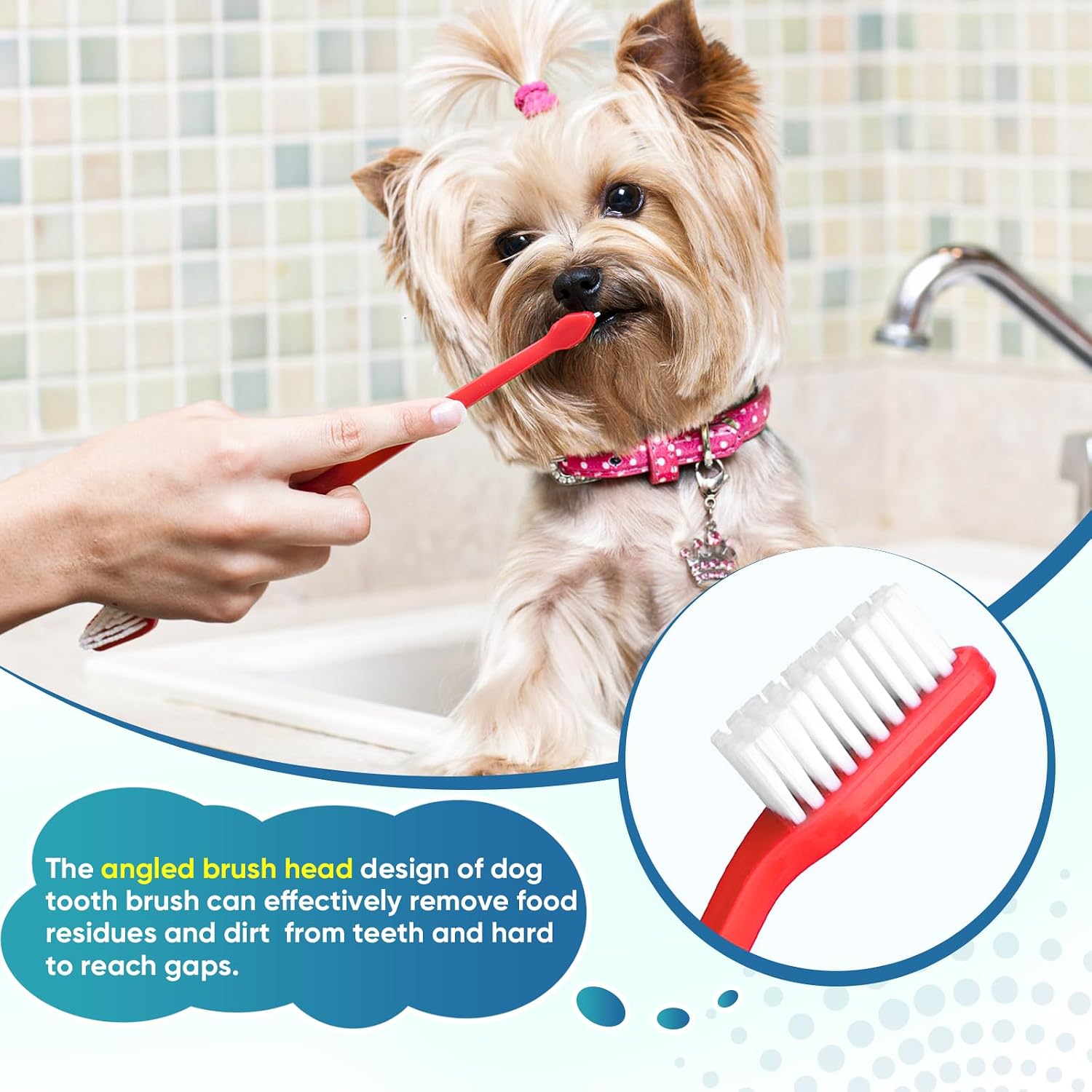 Pet owner using Navona dual headed brush on dog teeth