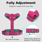 Plutus Pet high visibility safety harness for nighttime walks angled view