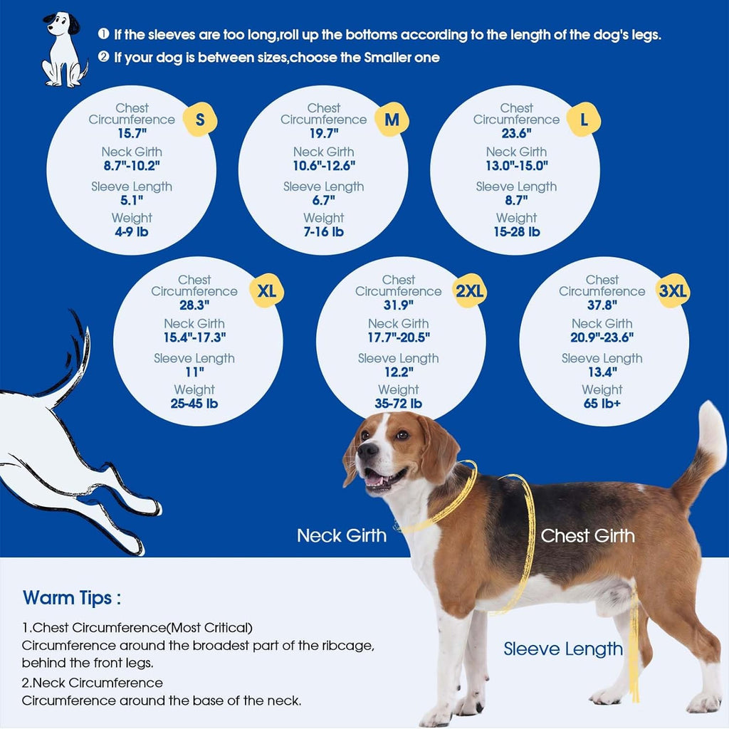 Side view of dog wearing Nanaki surgical suit for spay recovery
