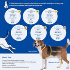 Side view of dog wearing Nanaki surgical suit for spay recovery