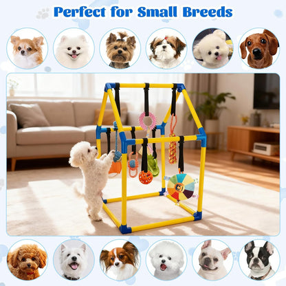 Small dog interactive indoor jungle gym showing smooth rounded edges designed for pet safety during teething.