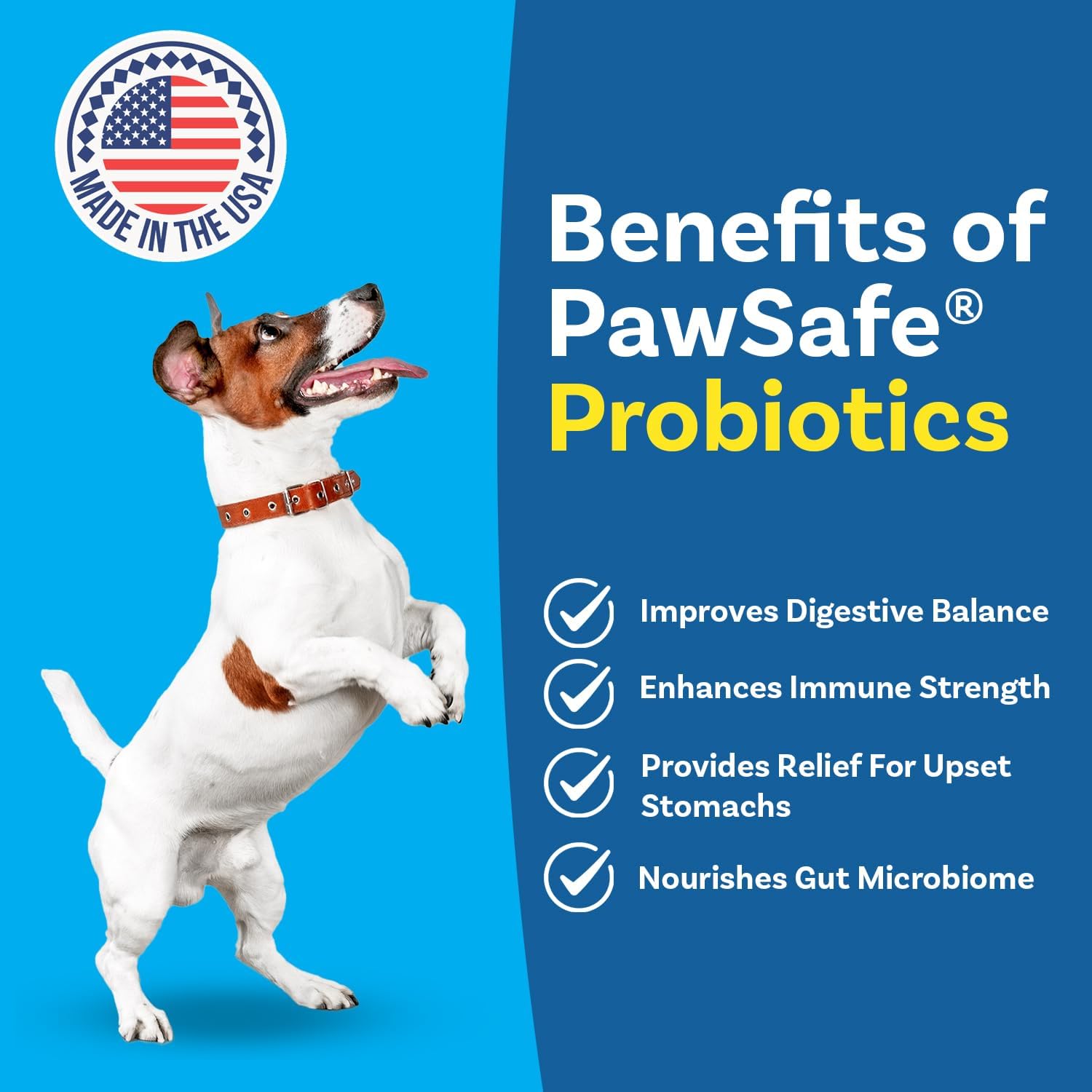 PawSafe honey chicken flavor probiotic chews for picky eaters close up view.