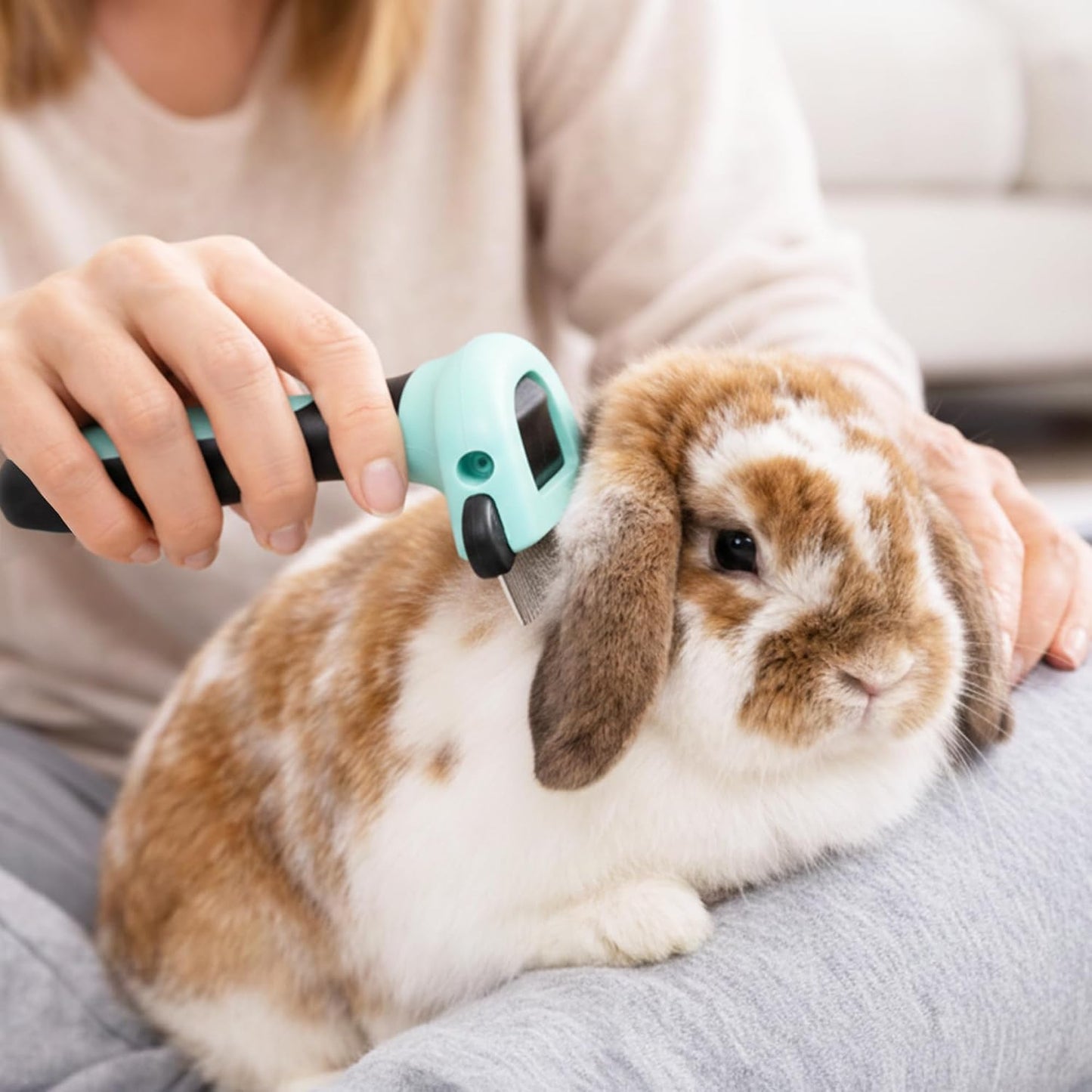 SunGrow pet grooming tool stainless steel blade detail