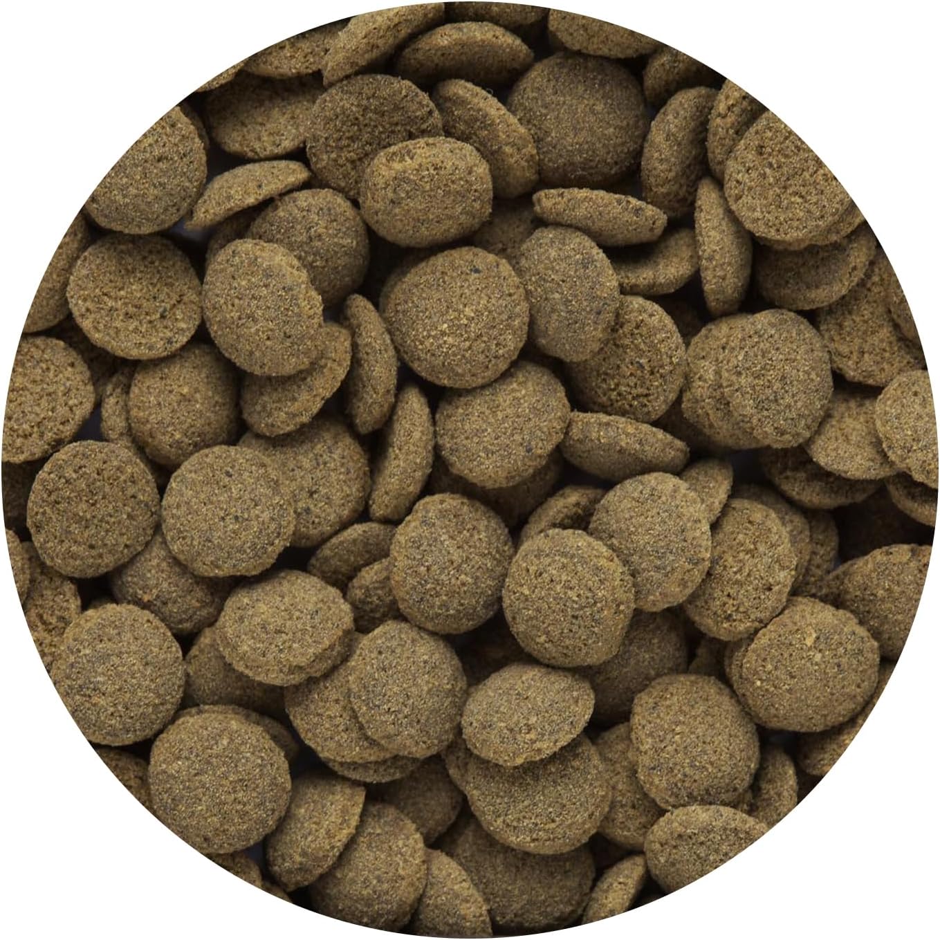 Hikari sinking fish food pellets texture and shape