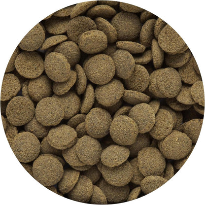Hikari sinking fish food pellets texture and shape