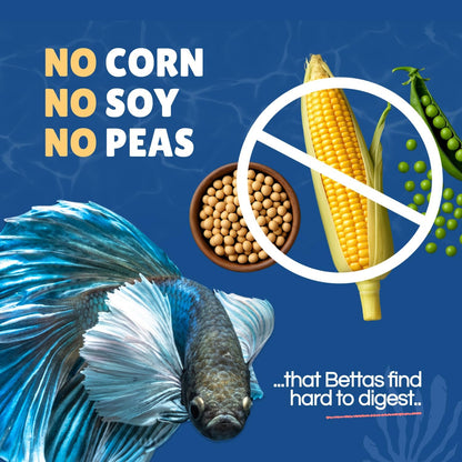 Perky Fins Betta Boost Pops dye free natural color enhancing formula fish food presentation.